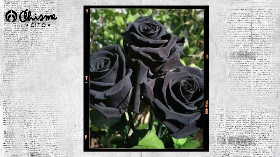 La rosas negras están relacionadas con la muerte.