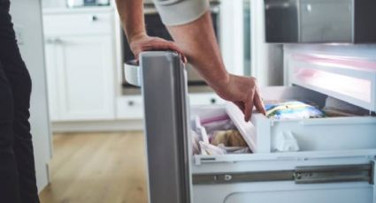 Descubre la mejor forma de descongelar tus alimentos, según especialista