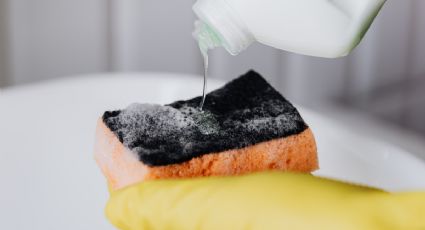 Por qué debo echarle sal a la esponja de la cocina al menos 2 veces por semana