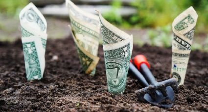 Conoce la clave para ahorrar dinero y alcanzar tus objetivos financieros