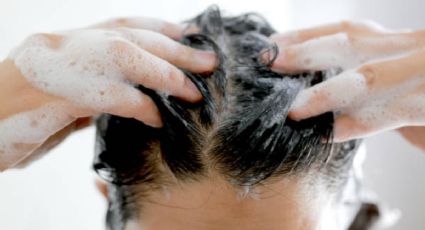 Preparar este shampoo casero con 2 ingredientes de cocina que hará crecer tu cabello en días