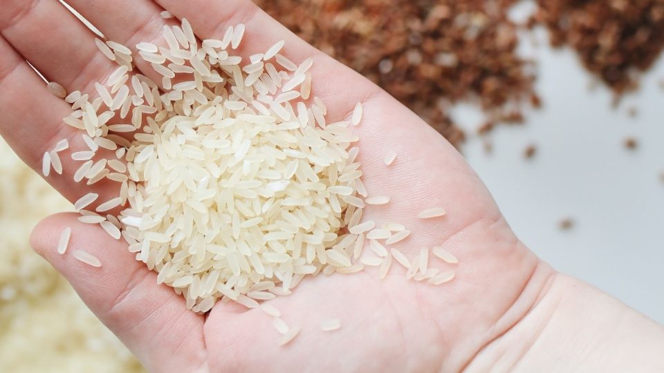 El arroz tiene una enorme variedad de usos, no sólo en la cocina.