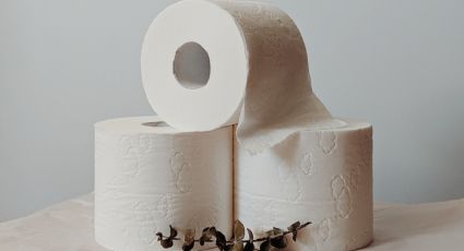 Despídete para siempre del papel higiénico y prepárate para usar estos sustitutos ecológicos