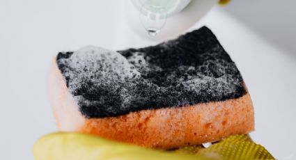 Solo con vinagre blanco, desinfecta tus esponjas de cocina