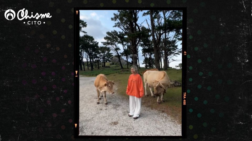 Quiso tomarse una fotografía con una vaca y recibió un duro golpe.