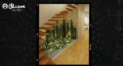 2 ideas para decorar el barandal de las escaleras con plantas