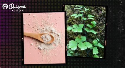 De forma natural, elimina las arrugas con esta planta de colágeno