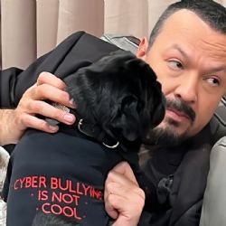 ¿Quién es "Gordo", el perrito de Pepe Aguilar que se unió en su campaña contra el bullying cibernético?