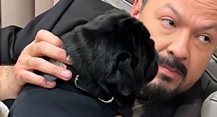 ¿Quién es "Gordo", el perrito de Pepe Aguilar que se unió en su campaña contra el bullying cibernético?