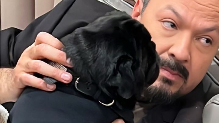 ¿Quién es "Gordo", el perrito de Pepe Aguilar que se unió en su campaña contra el bullying cibernético?