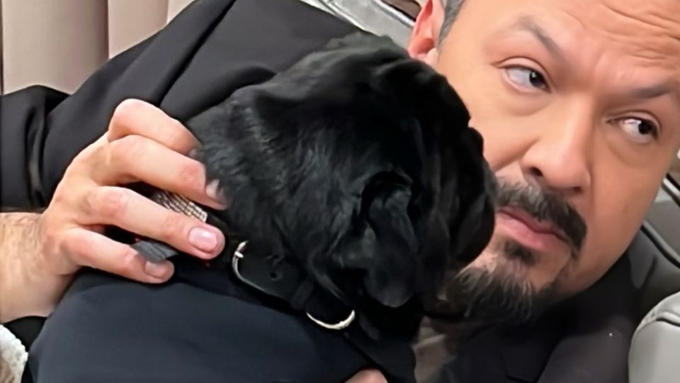 Pepe Aguilar y su perrito 'Gordo' criticaron las agresiones en redes.