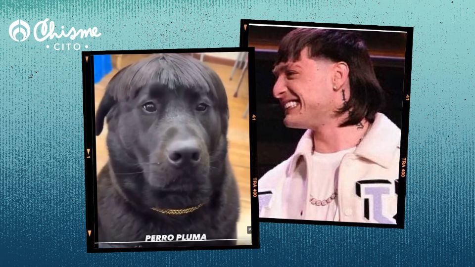 Las redes estallaron con fotos y videos de perros con el corte de Peso Pluma