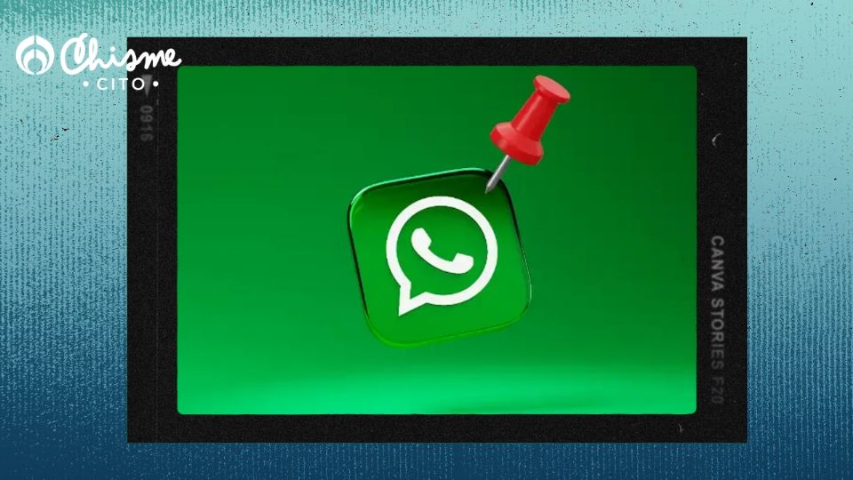 WhatsApp sigue sumando actualizaciones en beneficio de sus usuarios.