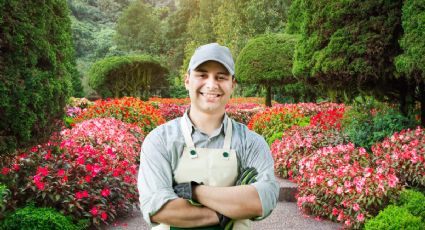 Conoce el mejor truco de jardinería para hacer florecer tus plantas en primavera