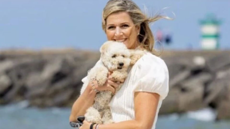 Mambo es el perro de Máxima.