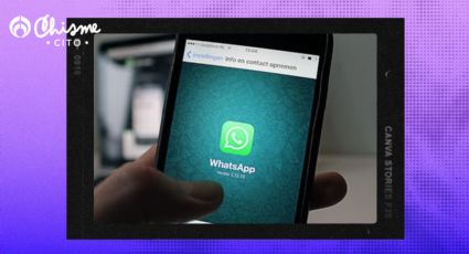 WhatsApp: ¿cómo hacer compras sin salir de casa?