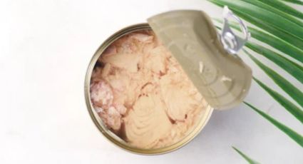 Así puedes reciclar las latas de atún y transformarlas en objetos de decoración