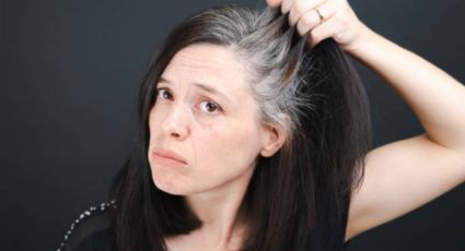 En pocos pasos y sin gastar dinero, conoce el tinte casero ideal para disimular las canas