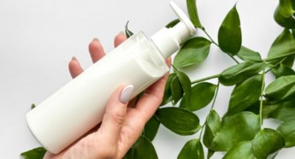 Agrega las hojas de estas plantas en tu shampoo para tener un cabello fuerte