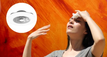 Combate el calor a bajo costo con esta innovadora lámpara-ventilador