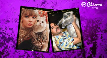 Día del gato: estos son los gatos de los famosos más ricos del mundo