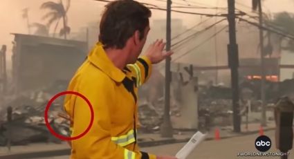 Tunden a un reportero que 'adelgazó' para verse bien en la tragedia de California: VIDEO