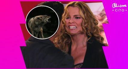 Marjorie de Sousa y el día que su personaje murió devorado por lobos en 'Amores Verdaderos': VIDEO