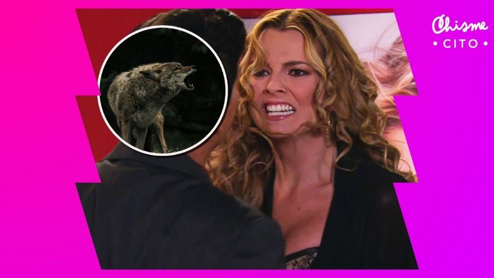 Marjorie de Sousa se puso en la piel de la despiadada 'Kendra Ferreti' en una de las telenovelas más vistas de México.